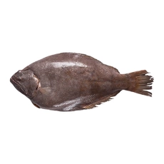 Тюрбо непотрошеная свежемороженая ~2-4 кг