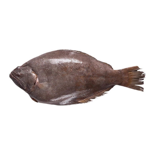 Тюрбо непотрошеная свежемороженая ~2-4 кг