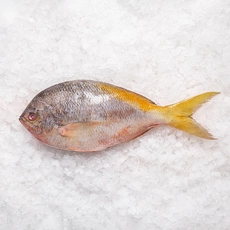 Желтохвост непотрошёный сыромороженый ~200+ г