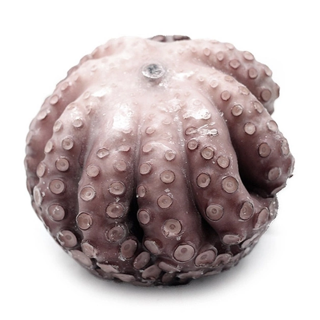 Осьминог очищенный свежемороженый, Индонезия ~ 2-3 кг