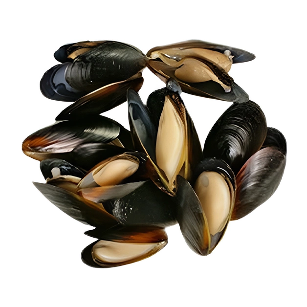 Мидии в целой раковине варено-мороженые 40/60 - 1 кг