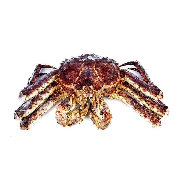 Краб Камчатский ~ 2,7-5 кг
