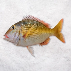 Рыба-Император целая непотрошеная свежемороженая ~ 1-2 кг