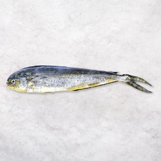 Махи-Махи целая непотрошеная свежемороженая 1-2 кг