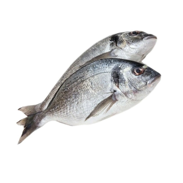 Дорадо непотрошеная свежемороженая, Турция ~  400-600 г