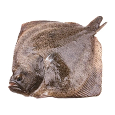 Тюрбо непотрошеная свежемороженая ~2-4 кг