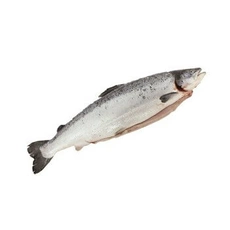 Лосось с головой потрошёный охлаждёный «Inarctica», Мурманск ~ 6-7 кг